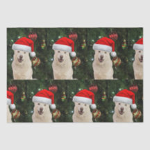 Santa Paws - Crystal the Husky Dog Navidades