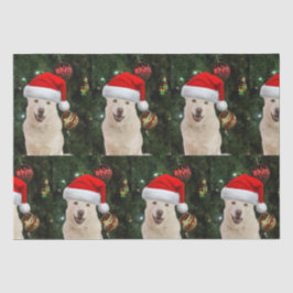 Papel De Seda Santa Paws - Crystal the Husky Dog Navidades