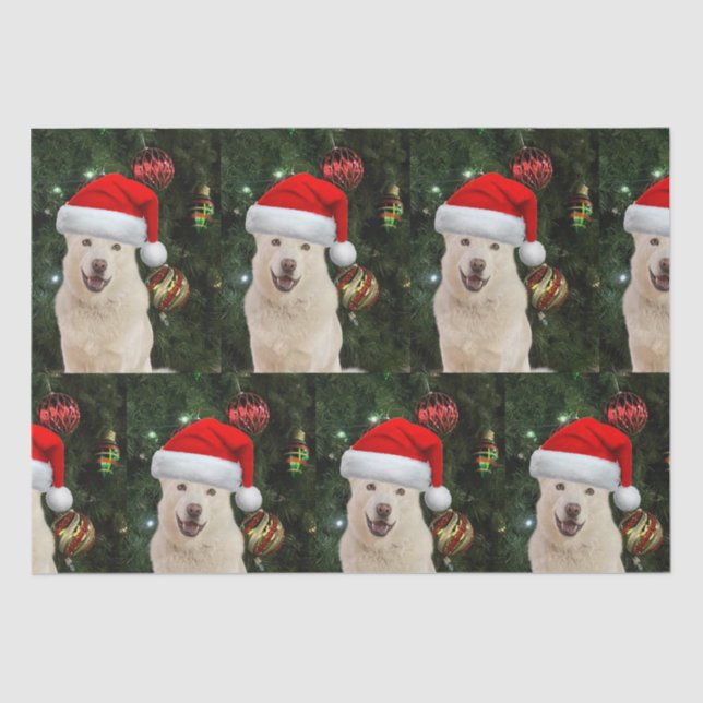 Papel De Seda Santa Paws - Crystal the Husky Dog Navidades (Anverso)