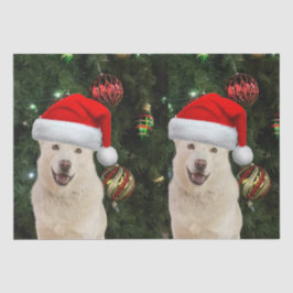 Papel De Seda Santa Paws - Crystal the Husky Dog Navidades