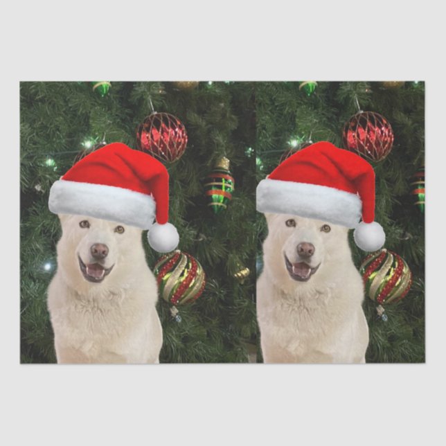 Papel De Seda Santa Paws - Crystal the Husky Dog Navidades (Anverso)