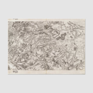 Papel De Seda Santo Omer