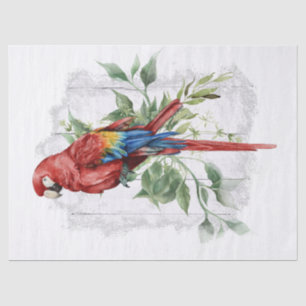 Papel De Seda Scarlet Macaw Parrot Eucalyptus Watercolor
