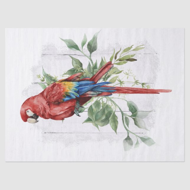 Papel De Seda Scarlet Macaw Parrot Eucalyptus Watercolor (Anverso)