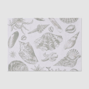 Papel De Seda Seashell Soft Antique Art Beach Shells