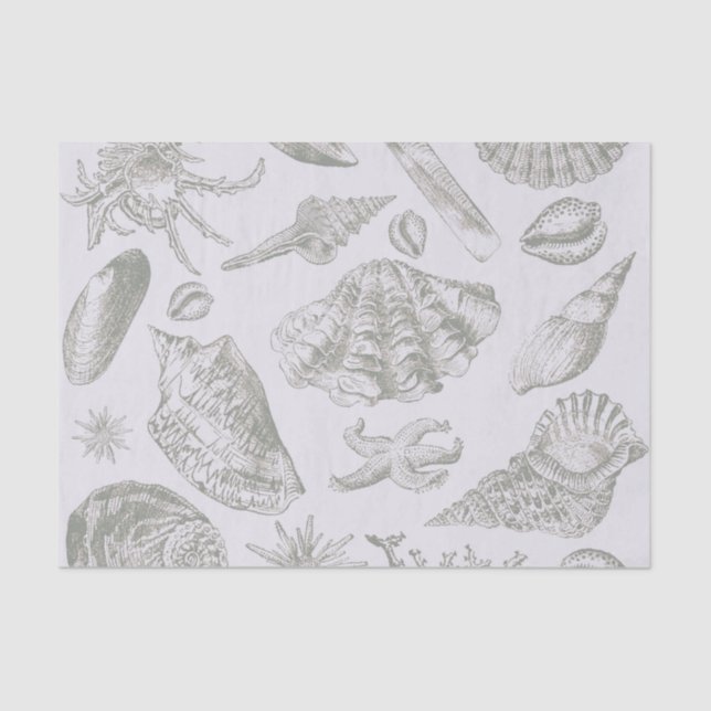 Papel De Seda Seashell Soft Antique Art Beach Shells (Anverso)