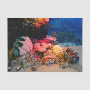 Papel De Seda Seashells coralinos submarinos tropicales de la