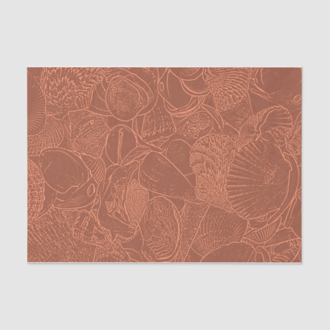 Papel De Seda Seashells Earth Tone Terracotta Ocean Beach (Anverso)