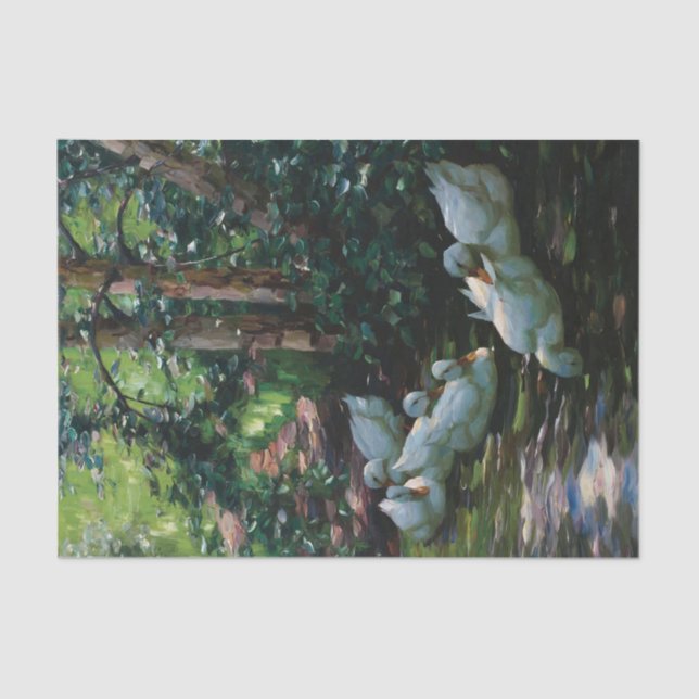 Papel De Seda Sechs Enten en Wasser por Alexander Koester (Anverso)