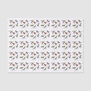 Papel De Seda Seis colibríes hermosos