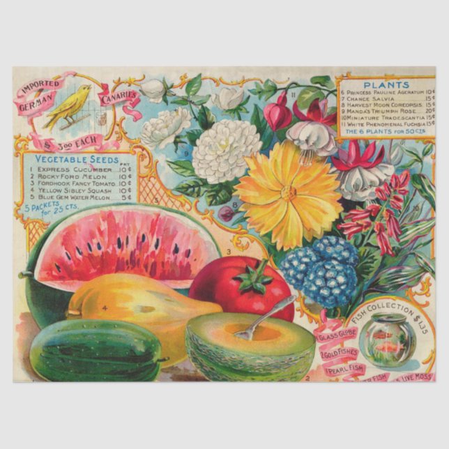 Papel De Seda Semillas antiguas y frutas y flores  (Anverso)