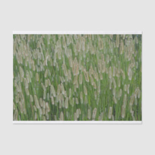 Papel De Seda Semillas de gramíneas verdes altas