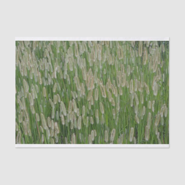 Papel De Seda Semillas de gramíneas verdes altas (Anverso)