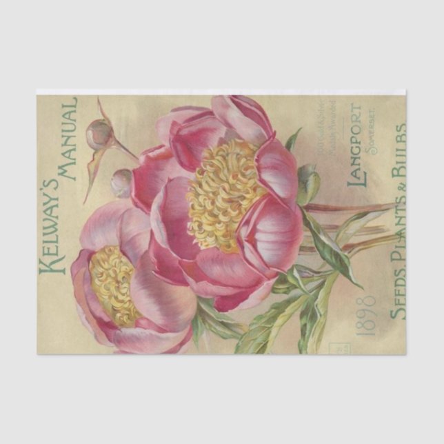 Papel De Seda Semillas manuales de Kelway del catálogo de semill (Anverso)