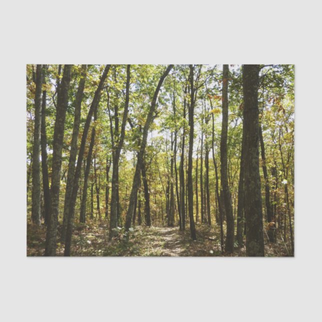 Papel De Seda Sendero Apalache en octubre en Shenandoah (Anverso)