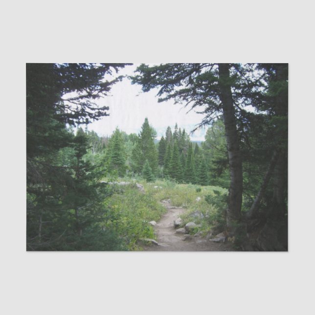 Papel De Seda Sendero Grand Teton (Anverso)