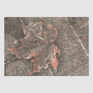 Papel De Seda Sepia de hoja de arce temática otoño