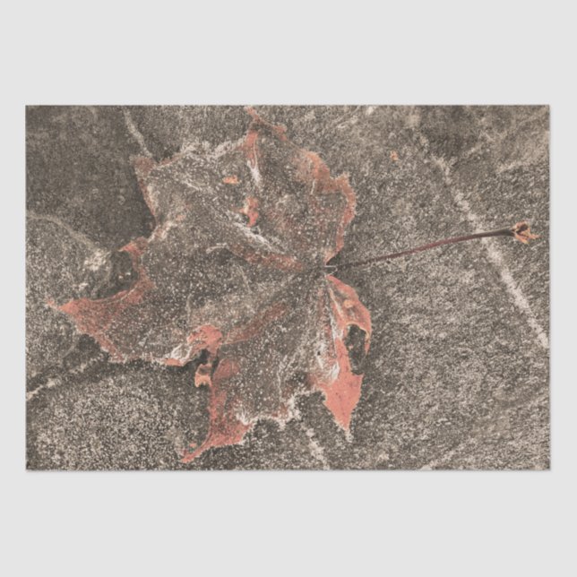 Papel De Seda Sepia de hoja de arce temática otoño (Anverso)