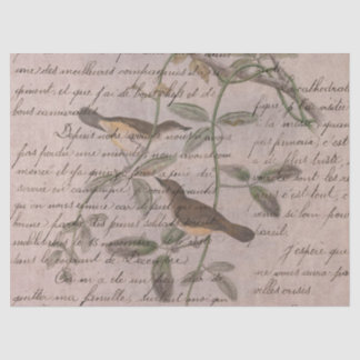 Papel De Seda Serie Aves Efímeras Diseño Cinco