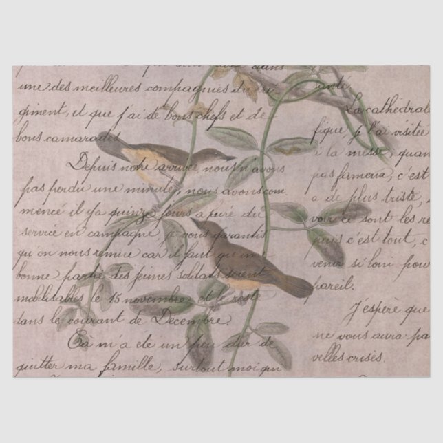 Papel De Seda Serie Aves Efímeras Diseño Cinco (Anverso)