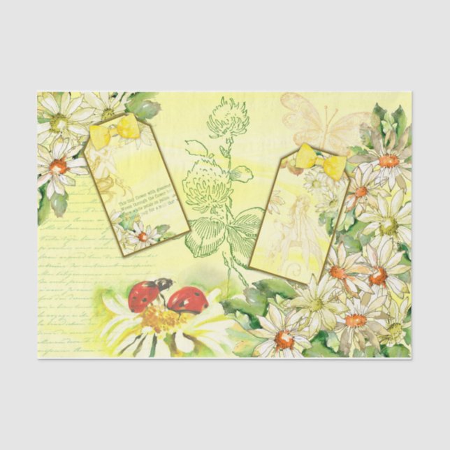 Papel De Seda Serie Daisy Design 7 (Anverso)