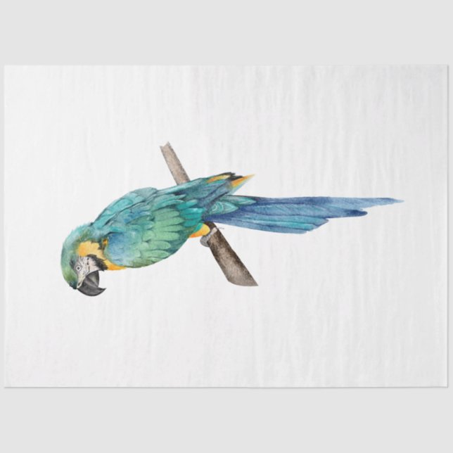 Papel De Seda Serie de aves tropicales: Blue Macaw (Anverso)