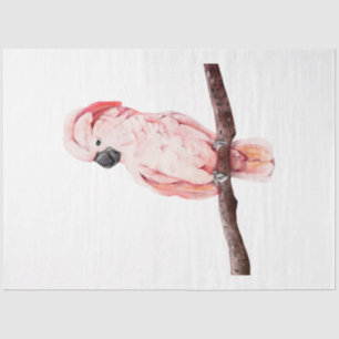 Papel De Seda Serie de aves tropicales: cacatúa