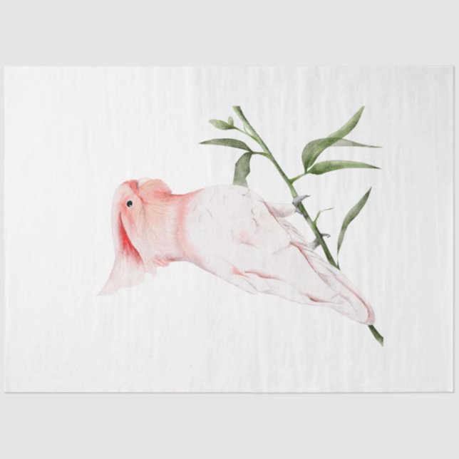 Papel De Seda Serie de aves tropicales: Grandes Mitchells (Anverso)