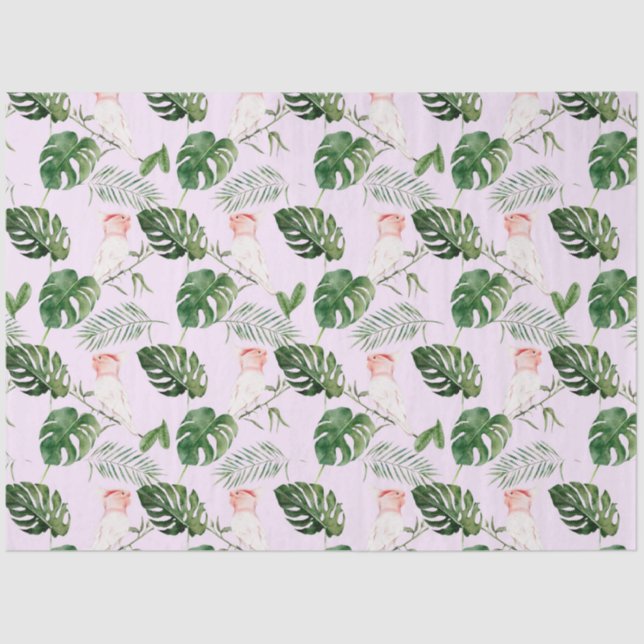 Papel De Seda Serie de Aves Tropicales: Grandes Mitchells Diseño (Anverso)