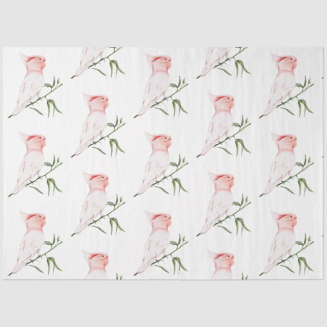 Papel De Seda Serie de Aves Tropicales: Grandes Mitchells Diseño (Anverso)