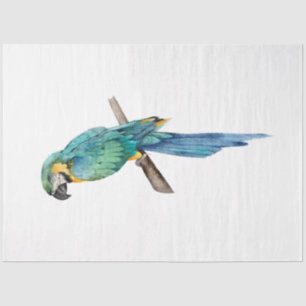 Papel De Seda Serie de Aves Tropicales : Guacamayo Azul