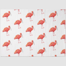 Papel De Seda Serie de Aves Tropicales : Scarlet Ibis Design 2