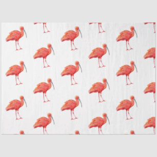 Papel De Seda Serie de Aves Tropicales : Scarlet Ibis Design 2