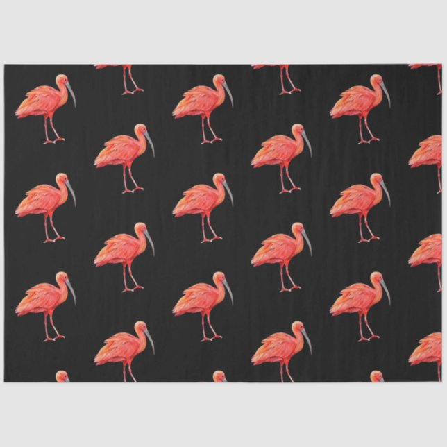 Papel De Seda Serie de Aves Tropicales : Scarlet Ibis Design 3 (Anverso)