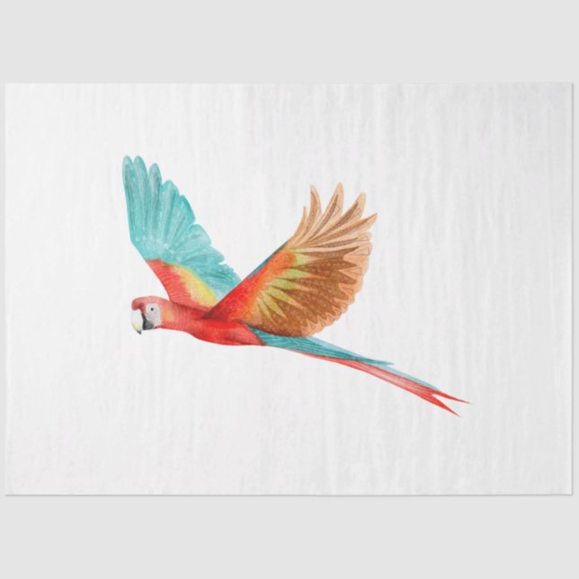Papel De Seda Serie de aves tropicales: Scarlet Macaw (Anverso)