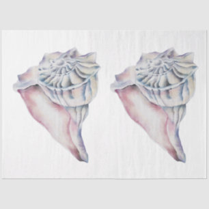 Papel De Seda Serie de conchas de aquarela submarina Diseño 14
