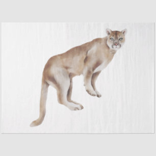Papel De Seda Serie de Gatos Salvajes Diseño 2