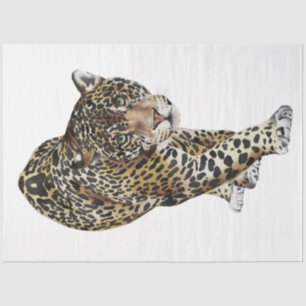 Papel De Seda Serie de Gatos Salvajes Diseño 3