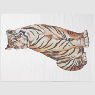 Papel De Seda Serie de Gatos Salvajes Diseño 4