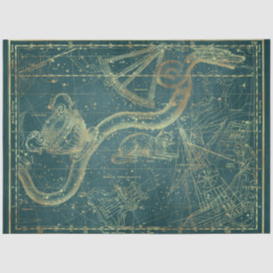 Papel De Seda Serie de Mapas Gold Star Diseño 24