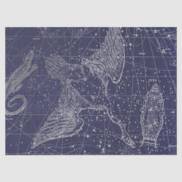 Papel De Seda Serie Mapa Estelar Galaxia de Plata Diseño 5
