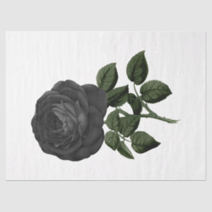 Papel De Seda Serie Vintage Rose Diseño 31