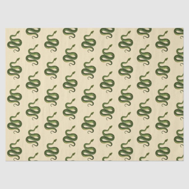 Papel De Seda Serpiente Verde (Anverso)