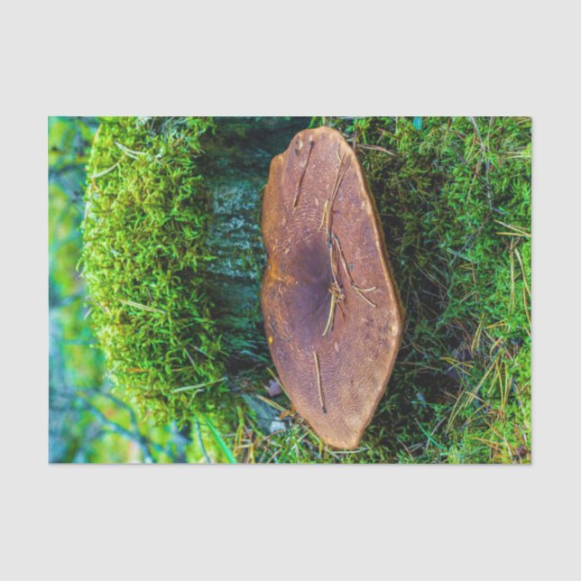 Papel De Seda seta Morrel verde naturaleza hierba  (Anverso)