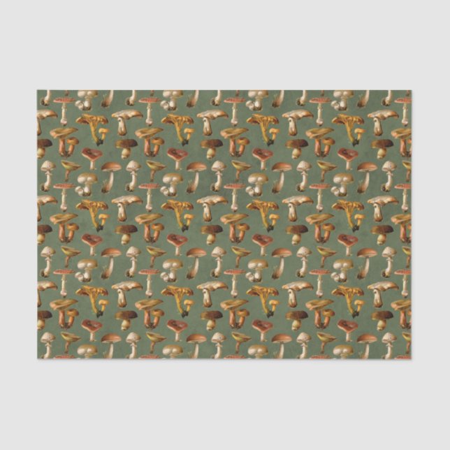 Papel De Seda Seta Silvestre Vintage (Anverso)