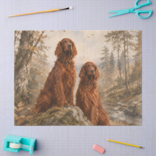 Papel De Seda Setter Irlandés  