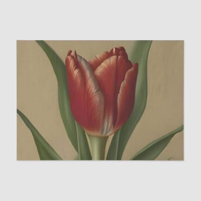 Papel De Seda Shabby Chic Lovely Red Tulip (Anverso)