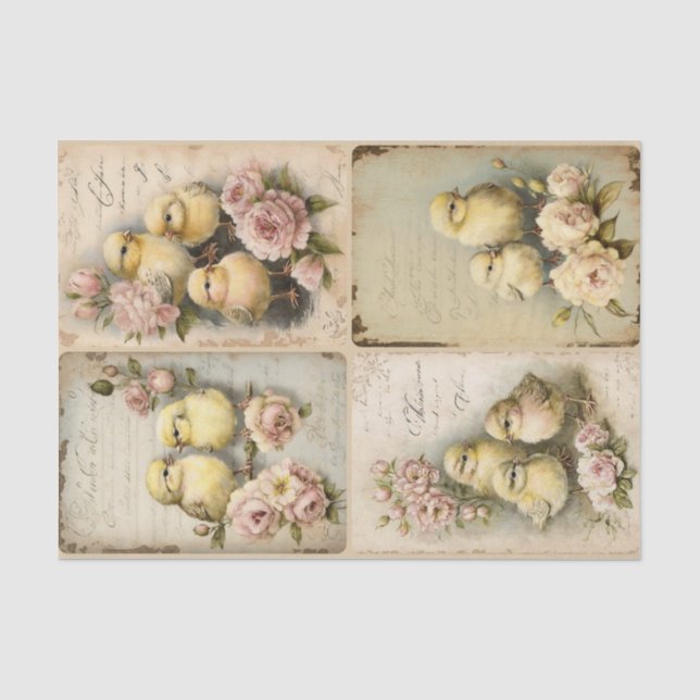 Papel De Seda Shabby Chicks (Anverso)