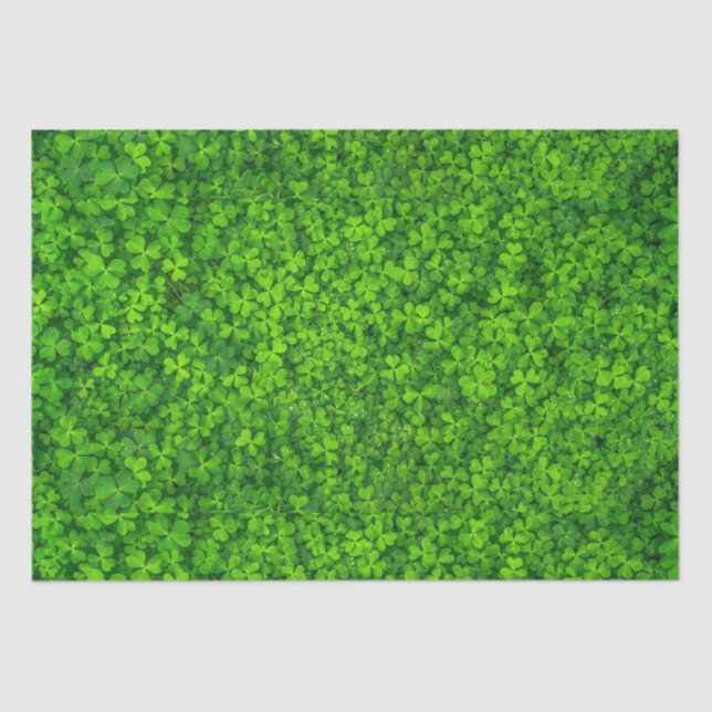 Papel De Seda Shamrock (Anverso)