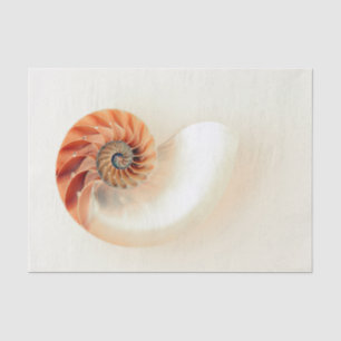 Papel De Seda Shell de la vida